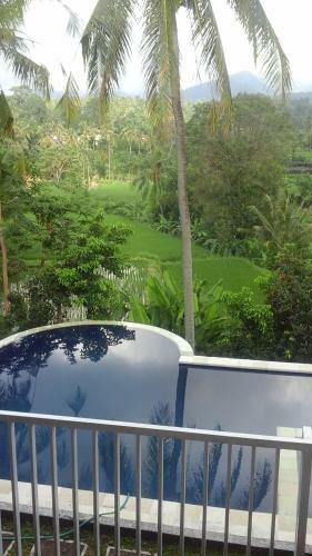 Hostal Lotus Guesthouse