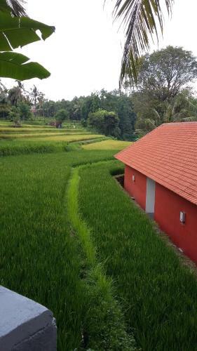 Hostal Lotus Guesthouse