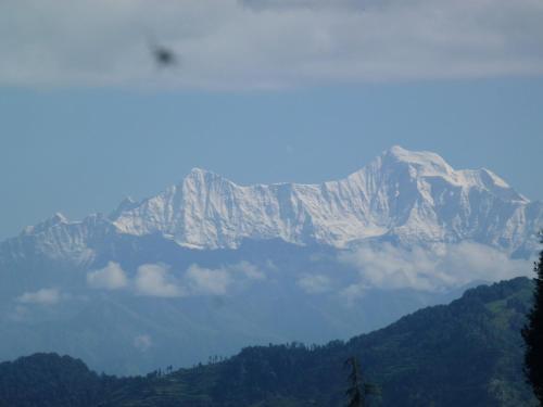 Dhanaulti Camp Homes And Retreat