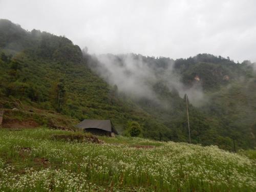 Dhanaulti Camp Homes And Retreat
