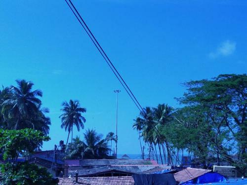 Hostal Avelina Guest House