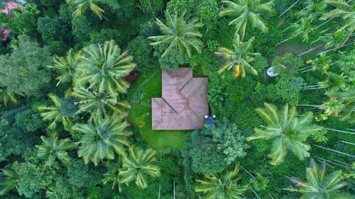 Hotel Bamboo Creek Resort