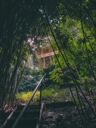 Hotel Bamboo Creek Resort