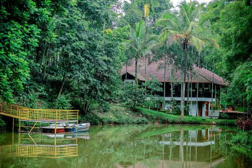 Hotel Bamboo Creek Resort