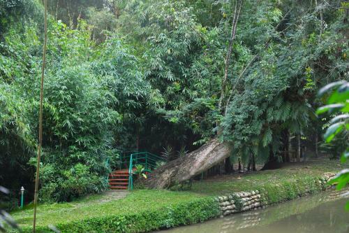 Hotel Bamboo Creek Resort