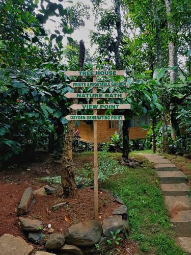 Hotel Bamboo Creek Resort