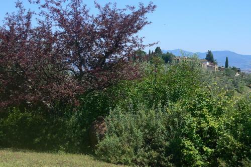 Apartamento La Frassinaia