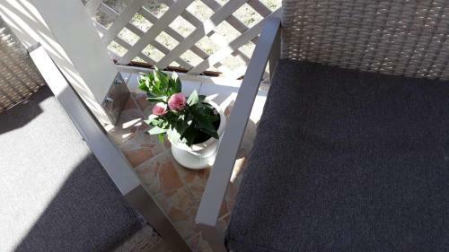 Casa Regina Margherita