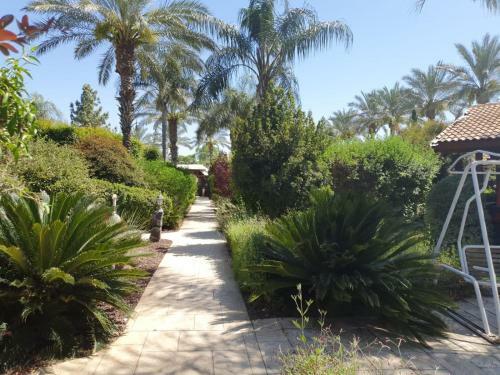 Lodge Pine Tree Cabin