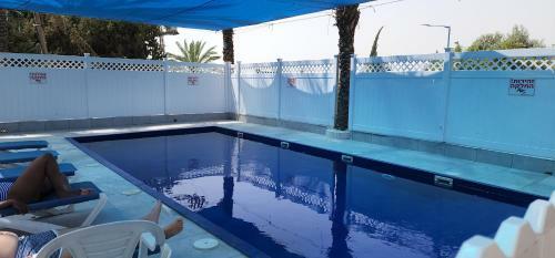 Lodge Pine Tree Cabin