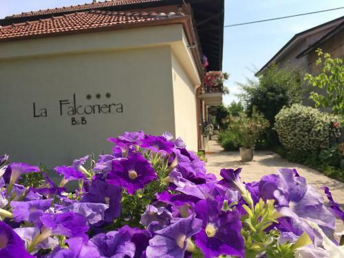 B&B La Falconera