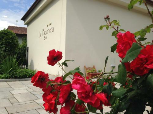 B&B La Falconera