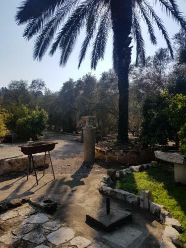 Lodge A Place To Dream