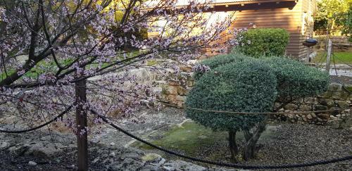 Lodge A Place To Dream