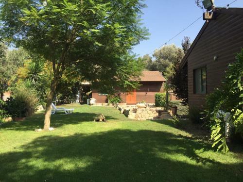 Lodge A Place To Dream