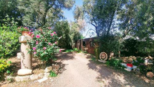 Lodge A Place To Dream