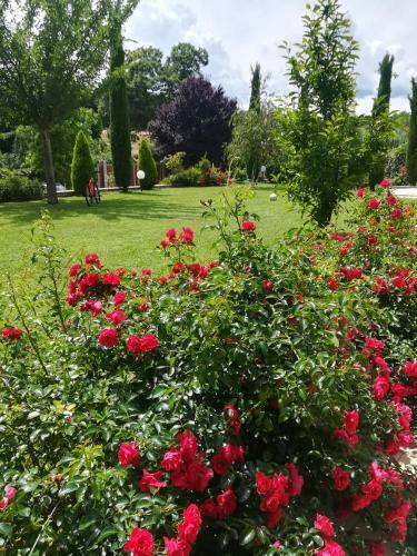 Apartamento B&B Terra Del Sole