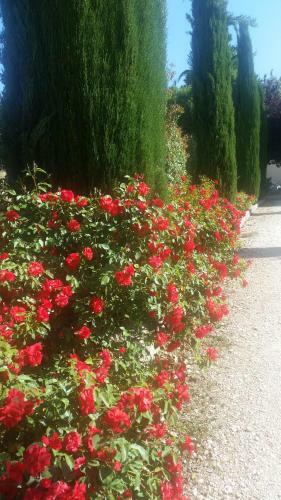 Apartamento B&B Terra Del Sole