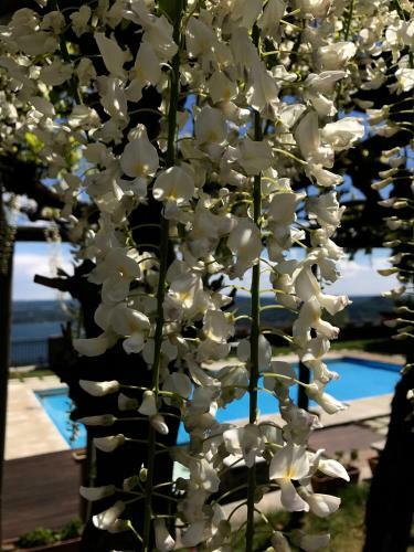 Agroturismo Casamariuccia