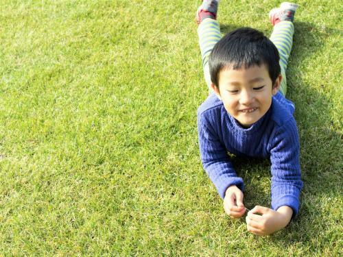 Bed & Breakfast North Gate Inn Abira