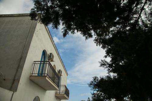 Apartamento Cavalluccio Marino