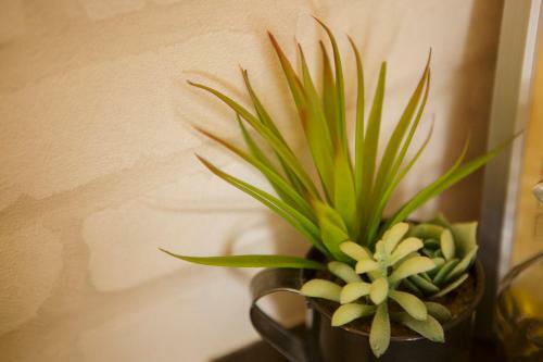 Apartamentos Guesthouse Life Field