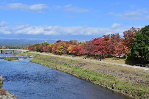 ?? ??? Kamo River Machiya Halo House