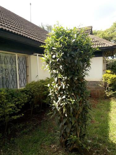 Hostal Covenant Guest House