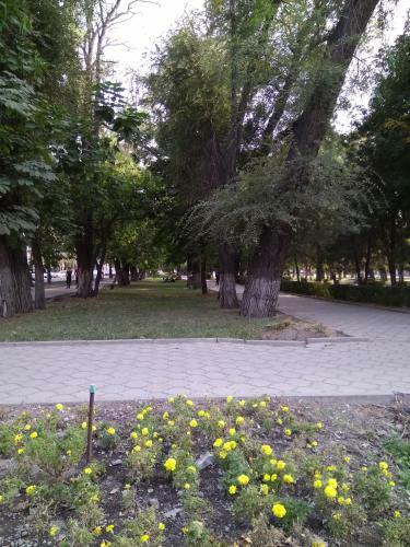 Hostal Lotos Guest House