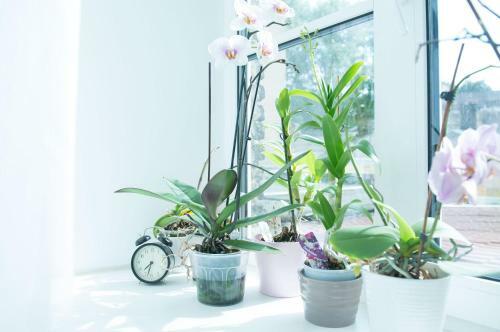 Apartamento Provence Home