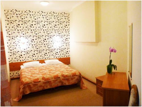 Hotel Auska