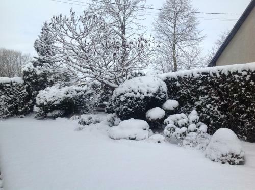 Apartamento Stylish House And Peaceful Garden