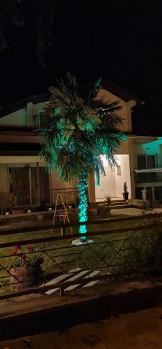 Apartamento Vila Dunja