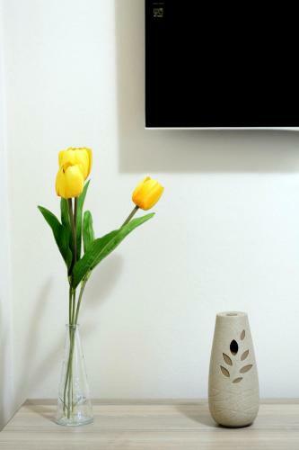 Hotel Shirok Sokak