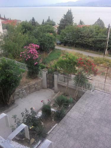 Villa Vila Mitko