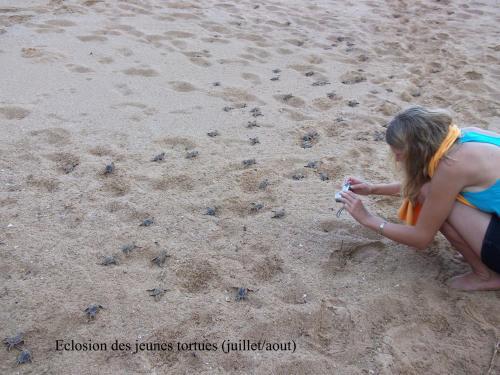 Hotel Oc�an Beach Sakatia