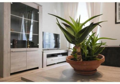 Apartamento The Merchant Penthouse