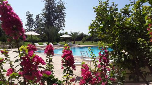 Bed & Breakfast La Vie En Rose