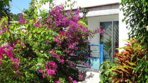Apartamento R�sidence Des �les
