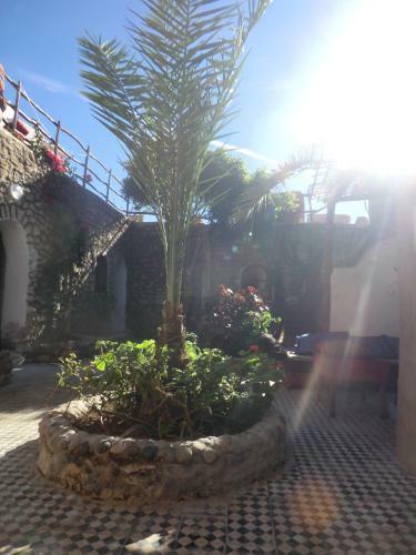 Bed & Breakfast Sidi Kaouki Al Vent