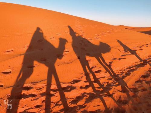 Camp Camelhouse Merzouga