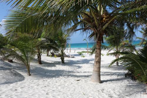 Hotel & Caba�as Zazil Kin Tulum