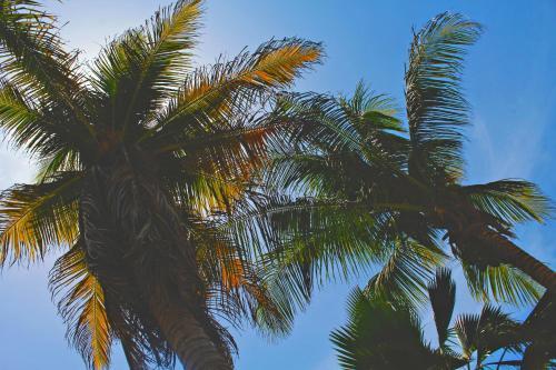 Hotel & Caba�as Zazil Kin Tulum