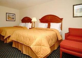 Hotel Comfort Inn (bradenton)