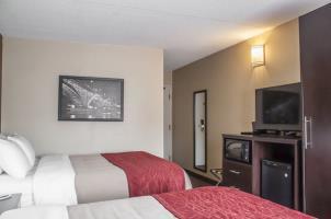Hotel Comfort Inn  Suites
