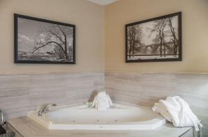 Hotel Comfort Inn  Suites