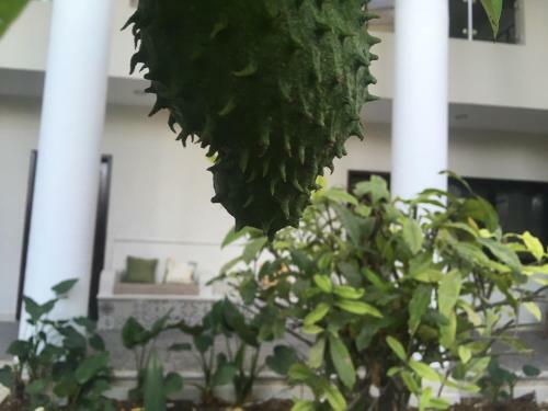 Hotel Tuparenda