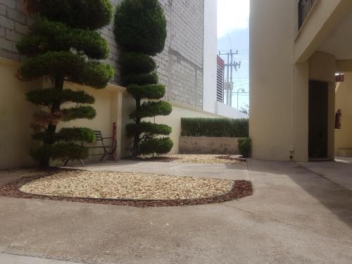 Apartamento Ecosuites