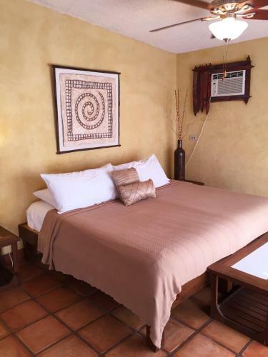 Hostal Leo's Baja Oasis