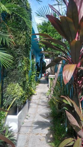 Apartamento Casa Pez Azul